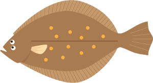fish image