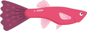 fish image