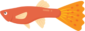 fish image