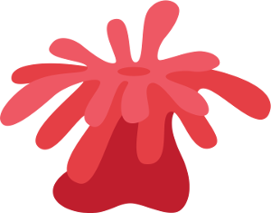 fish image
