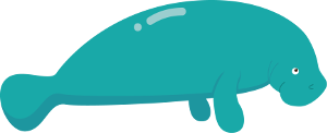 fish image